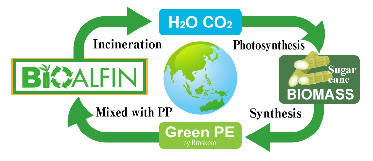 BioALFIN circulation process