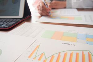 Knowledge of Japanese companies