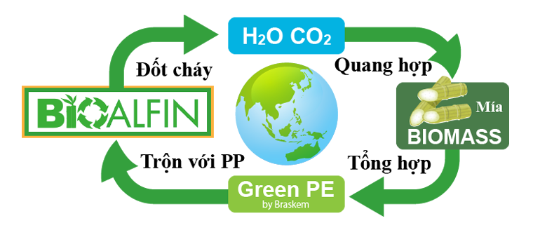 Quy trình lưu thông BioALFIN